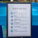 더슈나애견펜션 | 대형견 가능한 양평 수향더한옥 애견 펜션 풍견루1호 내돈내산 후기