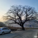 성당천 티스토리