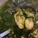 호계종합시장 이미지