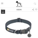 베리베리독