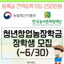 복희농장 | 등록금 전액&amp;학기당 250만원! 26년 2학기 청년창업농장학금 장학생 모집(~6/30) (+합격 후기)