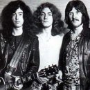 제플린실용음악학원 이미지