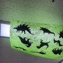 ????<b>공룡</b> <b>나라</b>로 떠나요????