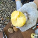 화랑유원지_관리사무소주변 | 안산 화랑유원지 캠핑장 &#39;안산화랑오토캠핑장&#39; 준글램핑 A-1 예약방법&amp;당일치기 바베큐 후기