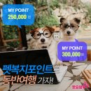 펫비즈