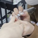 당산로41길 | 대구 죽전 감삼 네일 꼬미네 원톤네일 후기