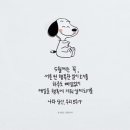 슬픔을 치료해주는 비밀책 이미지