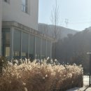 아이소미 | [내돈내산 먹보일기] 용인 양지면, 햇살이 잘드는 ‘아이소‘ 대형카페