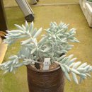 은월농장 이미지