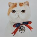 시선미술학원 이미지