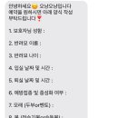 오냥오냥 고양이호텔 이미지