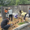 흥산1리 이미지