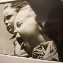 Lucky 애견샵 이미지