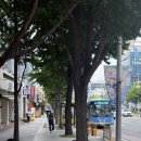 까레몽베이커리 - 연수구 | 대구 평리동빵집 까레몽 미니케이크 후기