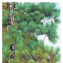 이브이야기 이미지