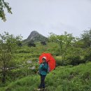 26~5~12~ 경남 합천 .산청. 황매산등정 철죽제끝나고난후 황매평정에 철죽이가 우릴반겨주었습니다... 이미지