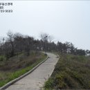 옥도면 장자도리 이미지