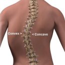 오다필라테스&PT 이미지