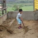 민형축사 이미지