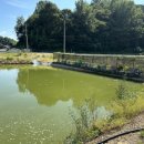 우지낚시터 이미지