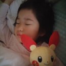 pet160누4273 | (후쿠오카) 2박 3일 해외여행 / 가식없는 여행후기 - 둘째날