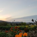 서광농장 이미지