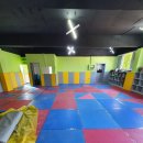 효동태권도 이미지