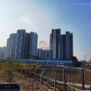 서재자이 이미지