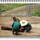 일출농장 이미지