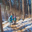 선사시대로 탐방 길(선사2코스) 이미지