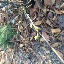 엔돌핀스크린골프 이미지