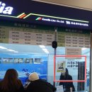 카멜리아 이미지
