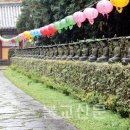 관음사앞 이미지