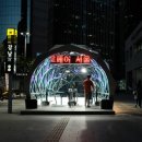 서울강남플란트치과의원 이미지