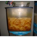 유자향기 이미지