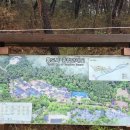 2026-04-04(토) 양산 통도사, 부산 낙동강30리 벚꽃길 이미지