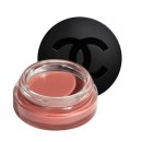 012-2 | 샤넬 까멜리아 립앤치크밤 2 헬시 핑크 vs 디올 어딕트 립글로우 012 로즈우드 비교 후기