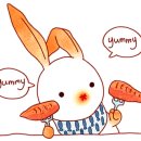 양팔레트 이미지