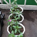 남북의료기 이미지