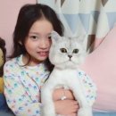 The행복한동물병원 올치올치