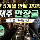 나우관광주 | 🌋 2년 5개월 만에 재개장! 제주 만장굴 직접 다녀온 후기