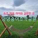 송암리 농장 | [아이와가볼만한곳] 양양 송이조각공원 / 속초 조양동선사유적