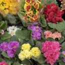 주암동농장 이미지