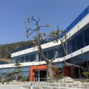 엘랑피아노 | 진해 ' 엘랑무드 ‘ 카페