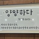 양양하다 이미지