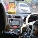 세풍농장 이미지