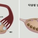 노원구보건소 이미지