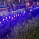 세느강7080 - 가평군 오리나무길 37-1 | 세느강7080