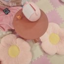 피그월드 | 세종 신상 아기돼지카페 귀여운거 보러가자 미니피그월드