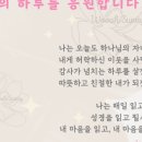 청춘목욕탕 이미지